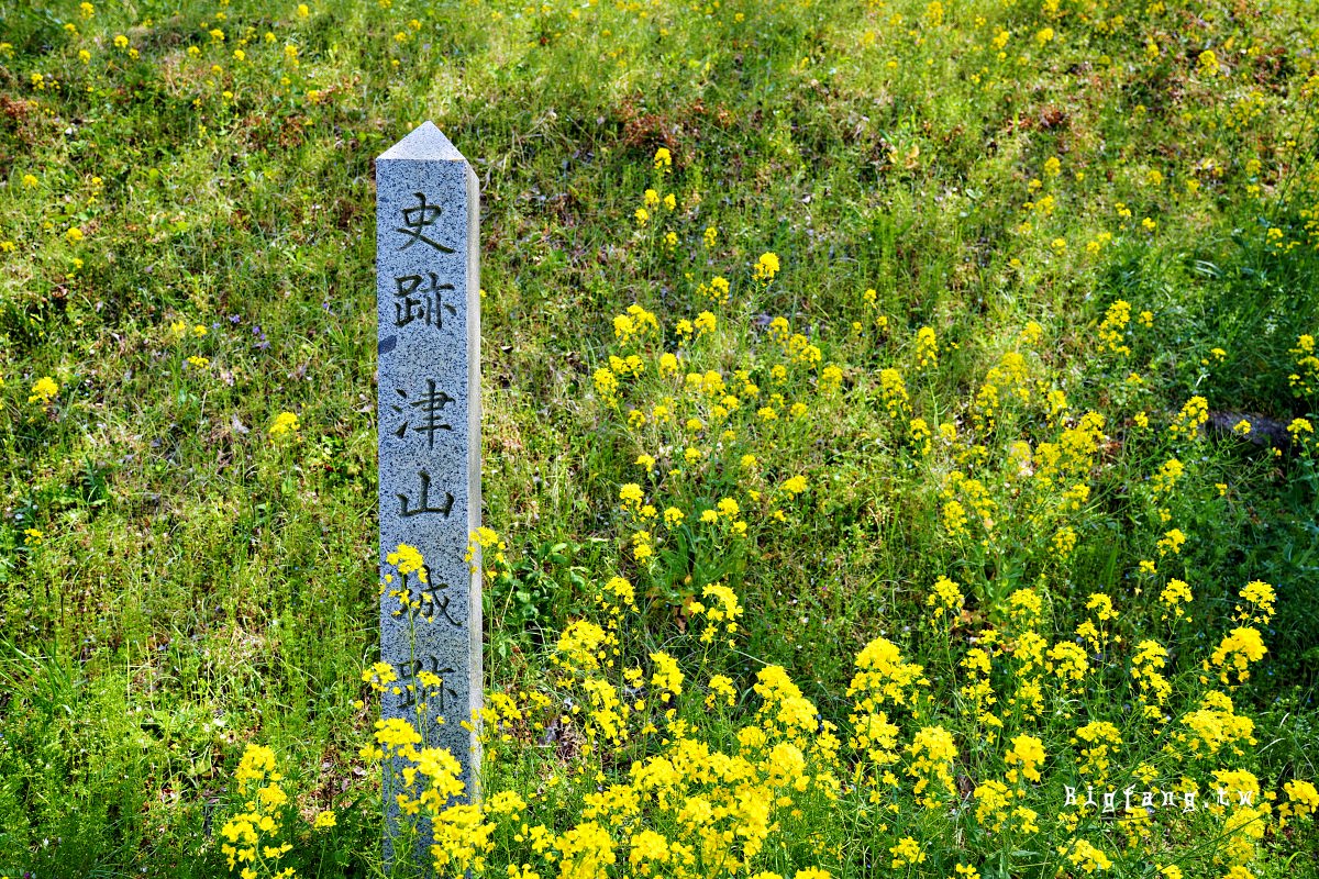 岡山縣津山市 津山城 櫻花
