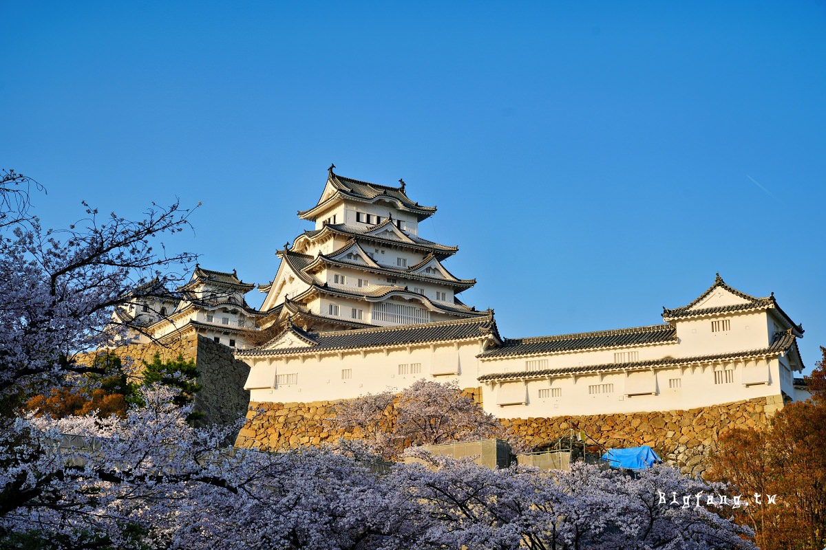 世界文化遺產 國寶 姬路城 櫻花