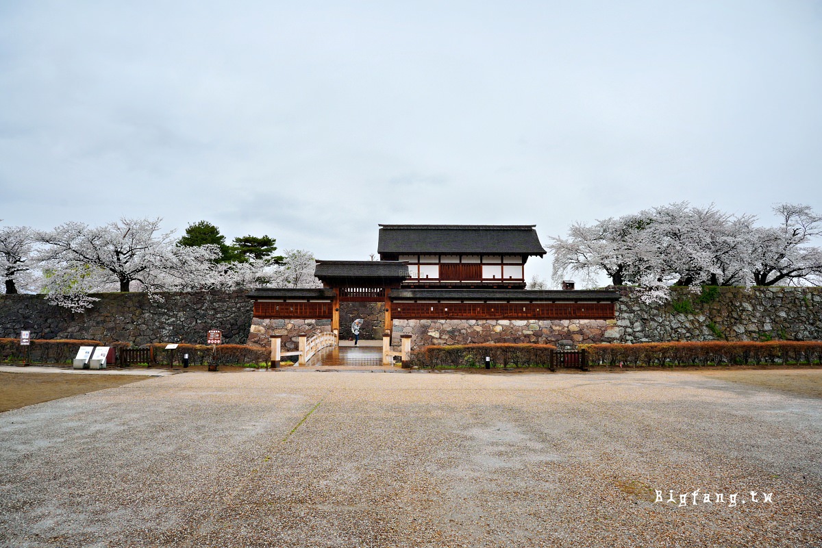 長野縣長野市 松代城跡 櫻花