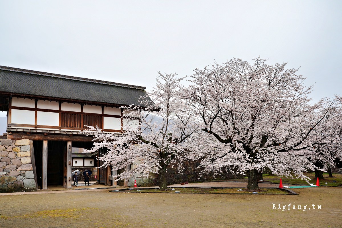 長野縣長野市 松代城跡 櫻花