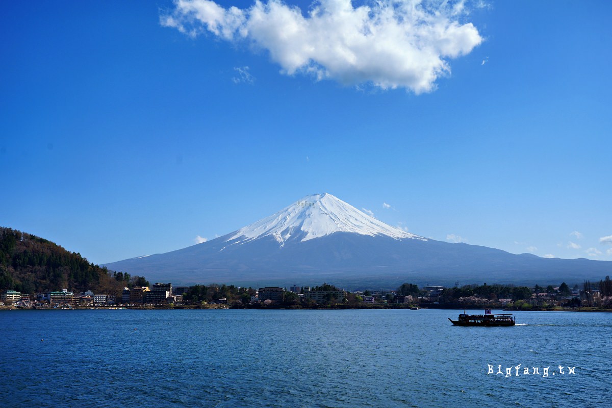 富士山 河口湖 櫻花