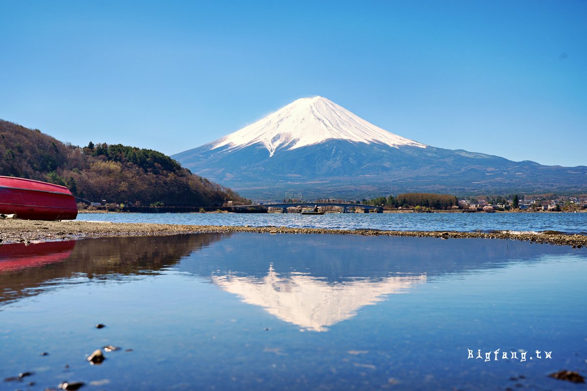 富士山 河口湖 櫻花