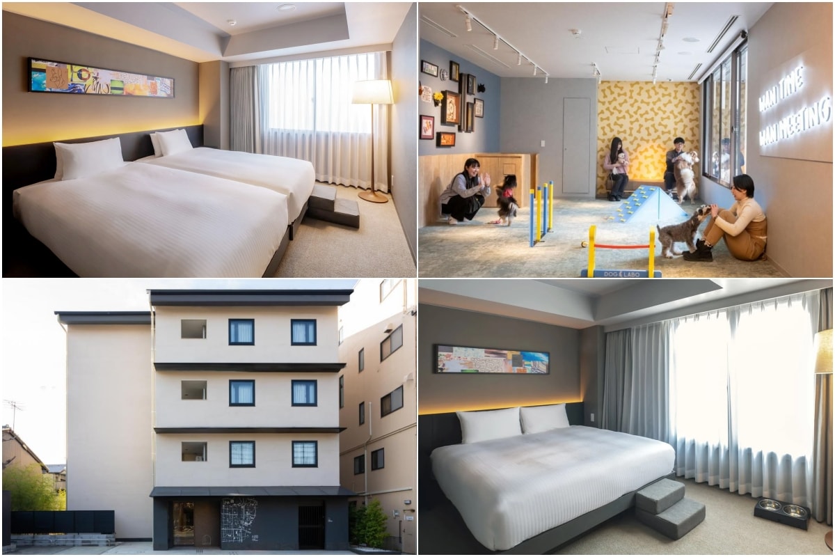hotel anddoggy Kyoto Nijo (霍特爾安多吉京都二條) 2024年3月開幕