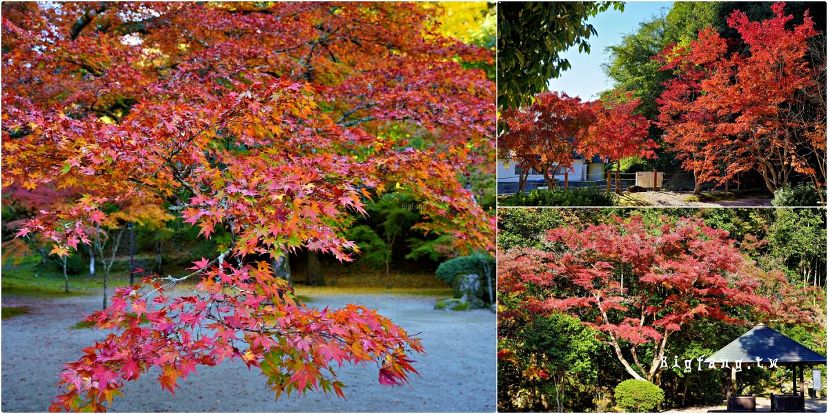 山口縣岩國市 紅葉谷公園