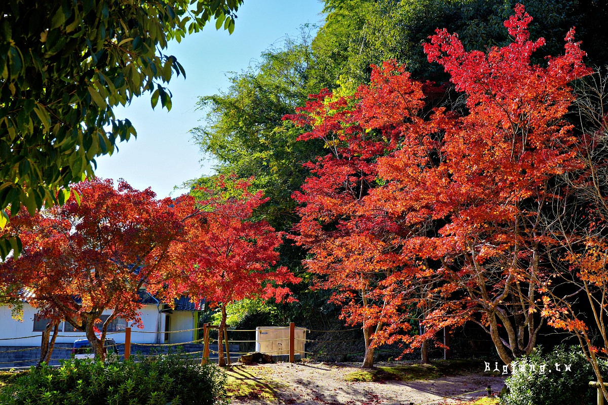 山口縣岩國市 紅葉谷公園