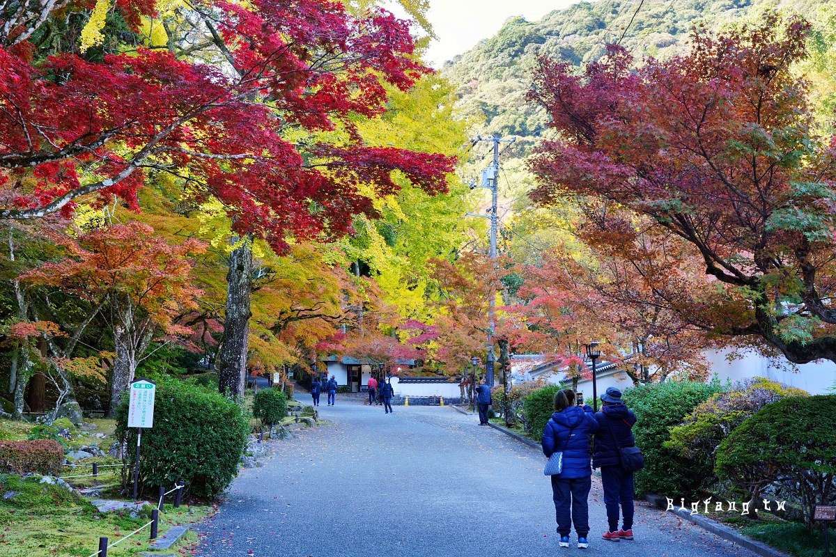 山口縣岩國市 紅葉谷公園