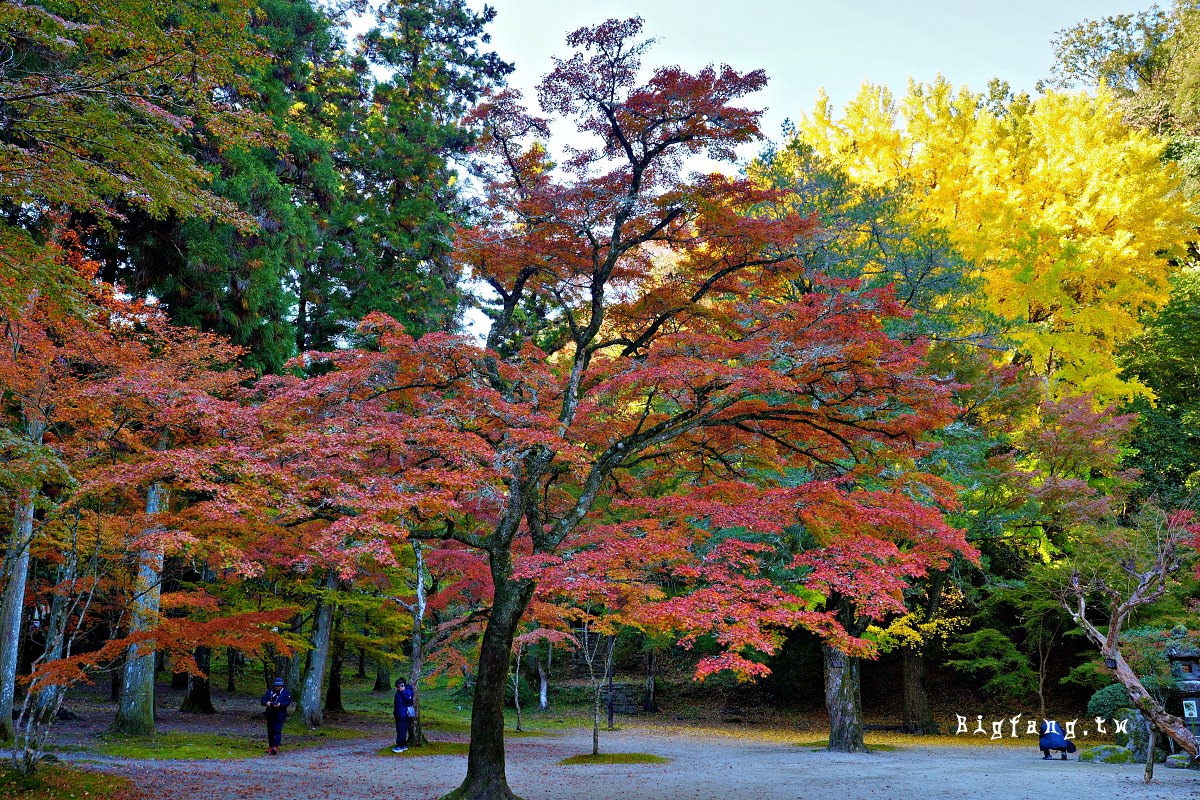 山口縣岩國市 紅葉谷公園