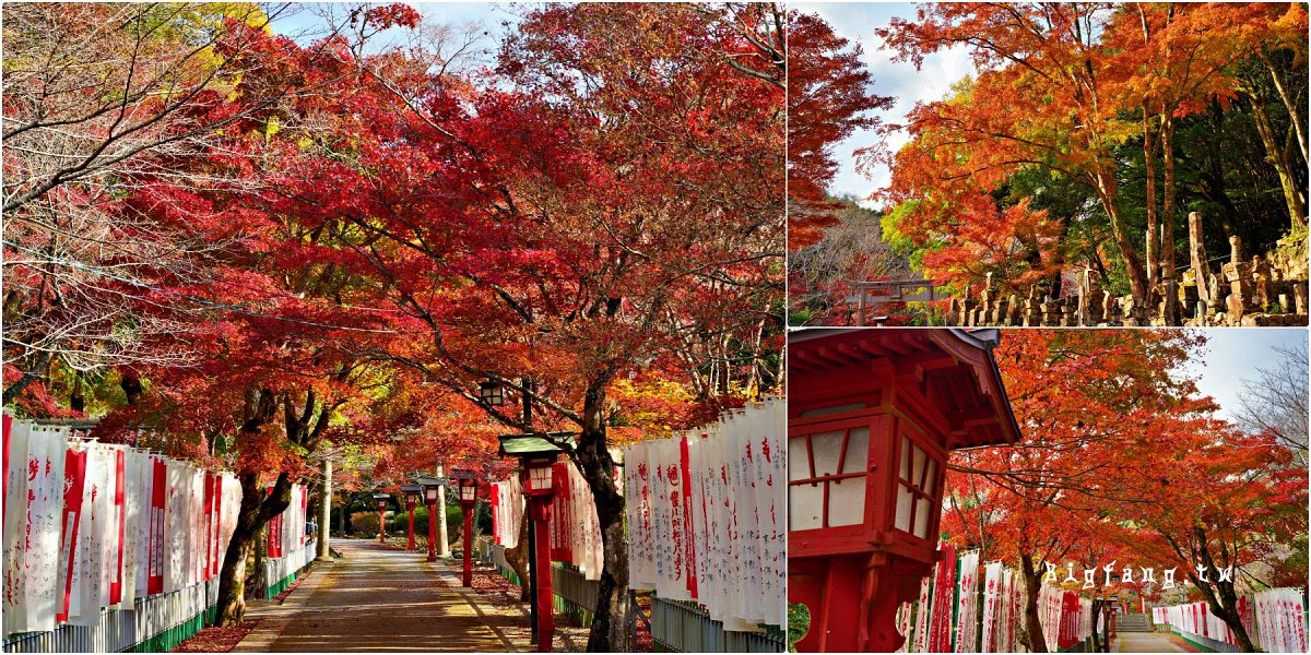 山口縣長門市 大寧寺 楓葉