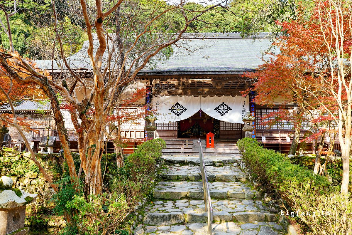 山口縣長門市 大寧寺 楓葉