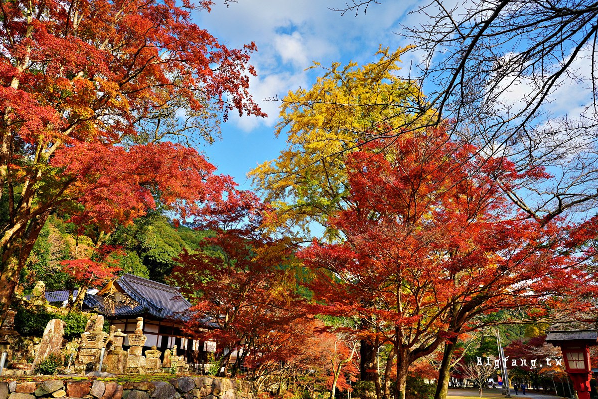山口縣長門市 大寧寺 楓葉
