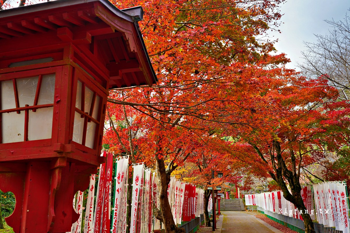 山口縣長門市 大寧寺 楓葉