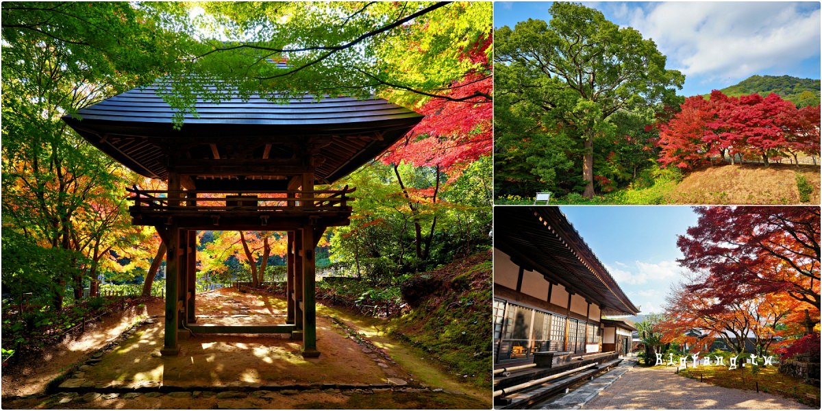 山口縣山口市 兩足寺 楓葉