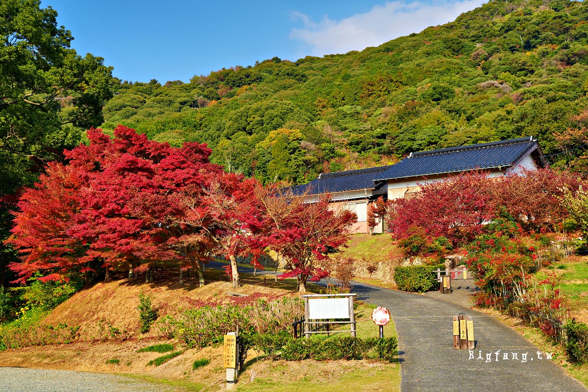山口縣山口市 兩足寺 楓葉