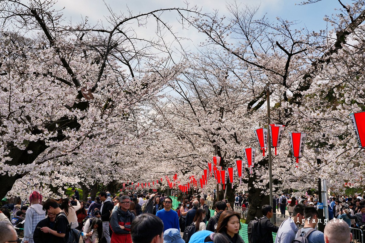 東京 上野恩賜公園 賞櫻